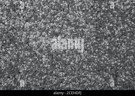 Macro shot of a carpeting texture background. Gray Textile floor covering. Grey Knotted-pile carpet Stock Photo