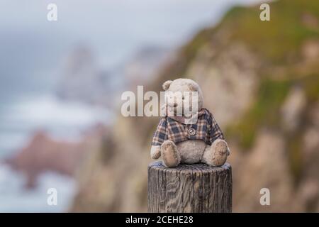 Cute fluffy teddy bear sitting on the fence with the seaside background Stock Photo
