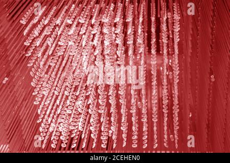 Modern glass chandelier. Decorative red crystal chandelier on the ceiling - interior decoration abstract background. Abstract background texture Stock Photo