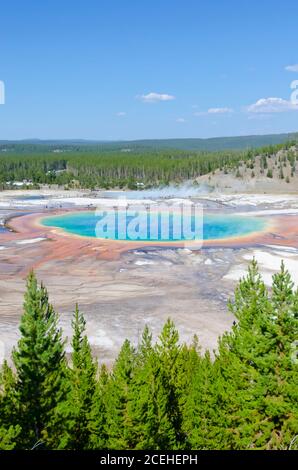 Grand Prismatic Spring in Yellowstone National Park, USA, as viewed from the Fairy Falls trail lookout