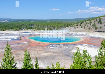 Grand Prismatic Spring in Yellowstone National Park, USA, as viewed from the Fairy Falls trail lookout