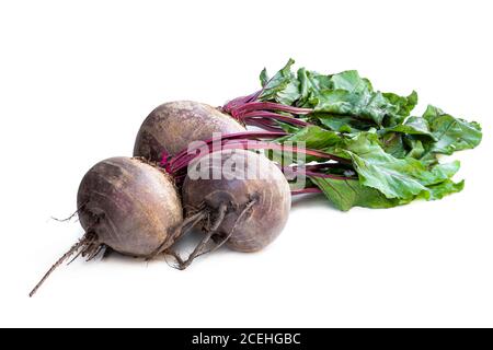 Fresh  beetroot with leaves isolated on white Stock Photo