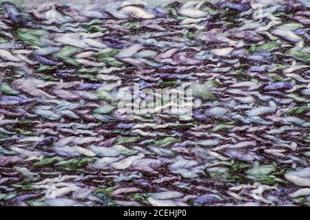 Close up on knit woolen fur texture. Color melange fluffy woven thread sweater or scarf as a background. Stock Photo