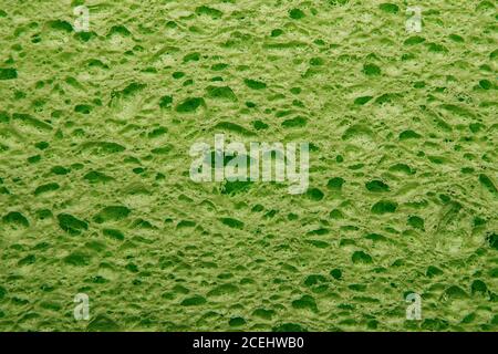 Green Cellulose foam sponge Stock Photo