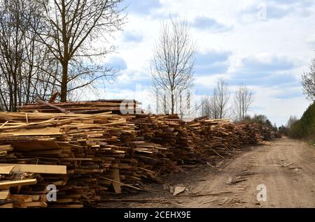 Logs stacked on logging and woodworking industry. A stock pile of timber, chopped down trees. Timber industry. De-forestation. Stock Photo