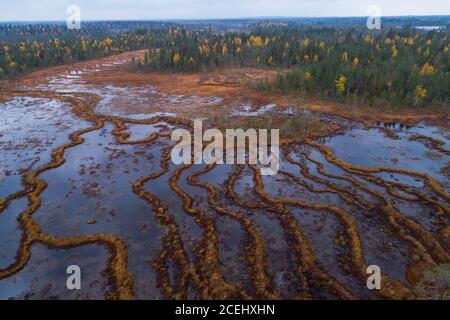 An aerial of unique aapa mires in Northern Finland during autumn foliage. Stock Photo