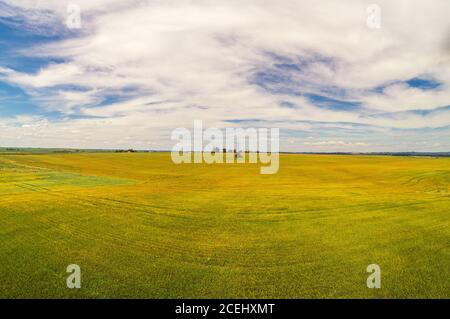 Rural landscape with a beautiful sky. Aerial view. View of wheat fields in summer Stock Photo