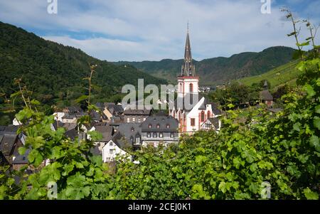 Panoramic image of the village Ediger-Eller within the vineyards close to the Moselle river, Germany Stock Photo