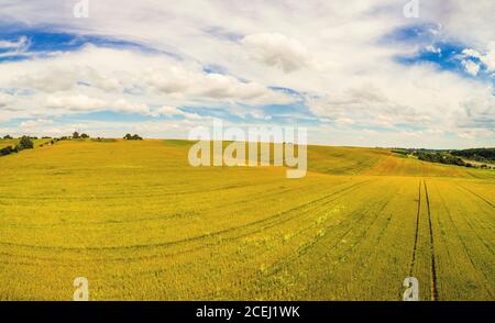 Summer rural landscape, aerial view. View of wheat fields with beautiful sky Stock Photo