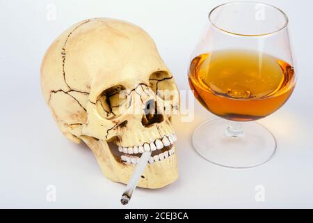 Human skull head with cigarettes and alcohol on white background. Smoking kills. Alcohol kills Stock Photo