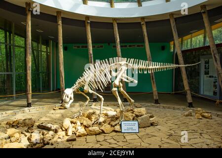 TSKALTUBO, GEORGIA - MARCH 19, 2018: Skeleton of dinosaur, located in Sataplia Nature Reserve near Kutaisi town, Georgia. Educating about exstinct Stock Photo