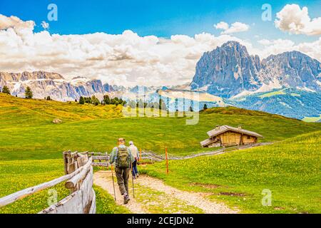 Two elderly men hiking at Seceda peak in the background view of the mountain Sassolungo or Longkofel Traveling to village St. Cristina di Val Gardena Stock Photo