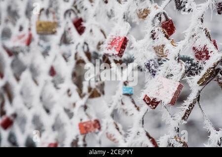 White hoarfrost covering love padlocks and net fence on winter day in park Stock Photo