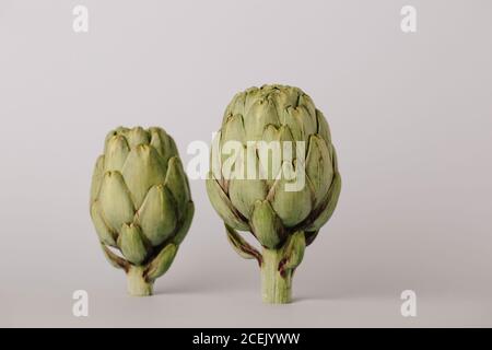 Raw uncooked whole artichokes head on white background Stock Photo