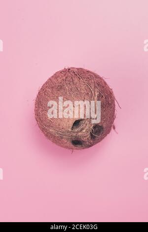 coconut on a pink background isolate, copy space, layout Stock Photo