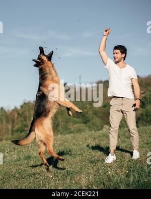 man playing with dog in nature Stock Photo