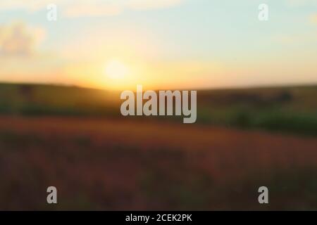 Blurry countryside field abstraction. Bokeh background of plantation at sunset. Stock Photo
