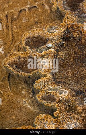 Geothermal Structures in Biscuit Basin, Yellowstone Park Stock Photo