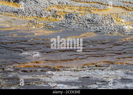 Structures around an active Geyser in Biscuit Basin, Yellowstone Park Stock Photo