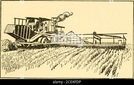 . Farm crops; a practical treatise on the growing of American field crops: containing brief and popular advice on the seeding, cultivating, handling and marketing of farm crops, and on the management of lands for the largest returns. satisfying to you, and cer-tainly more restful to your team, to change fromone kind of work to another rather frequently. Andit is most certainly true that you can greatly lessenthe work of a seed bed preparation, by a good dealof work, if you drag and harrow before the groundgets hard and dry. WORK THE SOIL WELL All of this intensive culture pays. First, becauset Stock Photo
