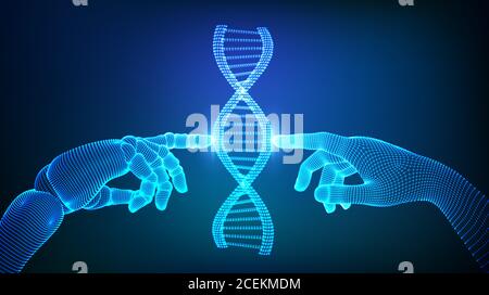 Wireframe DNA sequence molecules structure mesh. Hands of robot and human touching on DNA connecting in virtual interface on future. Artificial Stock Vector