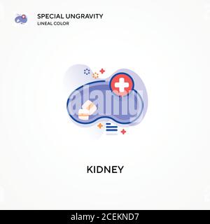 Kidney special ungravity lineal color icon. Modern vector illustration concepts. Easy to edit and customize. Stock Vector