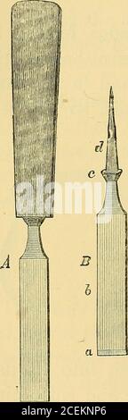 . The teacher's handbook of slöjd : as practised and taught at Naäs, containing explanations and details of each exercise. to a four-sided tang, whichis set into a wooden handle. The tool in working is driveninto the wood either by the pressure of the hand, or byblows from a mallet. In order that the handle may not slip,or twist round when grasped, it is generally made with foursides, greater in breadth than in thickness, and with thebroader sides rounded.* To keep the handle from splittingunder violent pressure, the base of thetanof is furnished with a shoulder, onwhich the handle rests. Thes Stock Photo