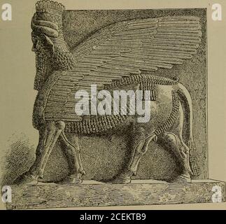 . Babel and Bible;. 7 the hearts of untold millions. It is well-known, also, that the conceptions of themessengers of the gods, or of the angels, with which theEgyptians were utterty unacquainted, are characteristi-calhy Babylonian, and also that the conception of cheru-. Fig. 50. Winged Cherub, with Body of Bull and Human Head (After Layard.) bim and seraphim and of the guardian angels that watchover the ways of men had its- origin in Bab3don. TheBabylonian rulers stood in need of hosts of messengersto bear their behests into all quarters of their dominions;and so also their gods were obliged Stock Photo