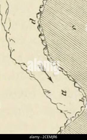 . Arctic geography and ethnology. A selection of papers on Arctic ...