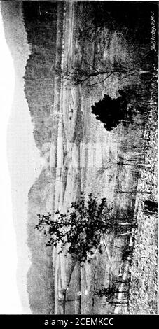 . History of the Michigan organizations at Chickamauga, Chattanooga and Missionary Ridge, 1863 [electronic resource]. ke this risk than to haul the boats across theneck of land on wagons, launch them in the river, because they could movemore rapidly in the current than information could be carried by infantrypickets and, in addition, though the enemy might be alarmed, he would notknow where the landing was to be attempted, and therefore could not con-centrate against us. The remainder of the two brigades were to march across the neck andencamp in the woods out of sight near the ferry, ready to Stock Photo