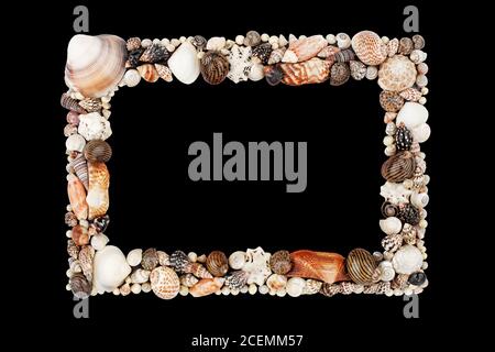 Seashells pattern empty frame on black background isolated close up, blank sea shells border, summer beach holidays concept, tropical island vacation Stock Photo