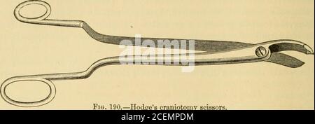 . The science and art of midwifery. Fig. 189.—Blots perforator. liable to injure the soft parts of the mother during the operation. Thechief objection to the instrument arises out of these special measuresof safety, as, owing to its bluntness, considerable force has to be em-ployed to penetrate the skull, which increases, of course, the risk of 404 OBSTETRIC SURGERY. slipping. A better instrument is that of Monsieur Blot. It possessesa spear-point, which makes it effective as a perforator. The blades,. Hodges craniotomy scissors. when the instrument is shut, are superimposed, and are not capab Stock Photo