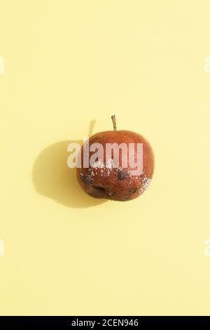 rotten apple on yellow background.global hunger problem. overconsumption concept. Stock Photo