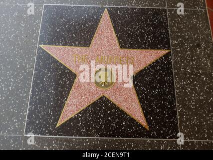 Hollywood, California, USA 1st September 2020 A general view of atmosphere of The Muppets Star on Hollywood Walk of Fame on September 1, 2020 in Hollywood, California, USA. Photo by Barry King/Alamy Stock Photo Stock Photo