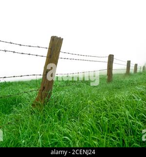 Barbed wire fence in a grassy foggy landscape Stock Photo