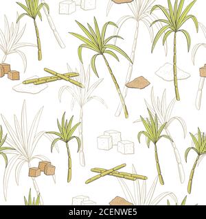 Seamless pattern. Green sugar cane plants. Design for Greeting card