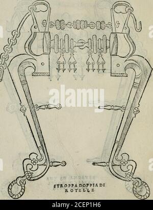 . Trattato dell'imbrigliare, maneggiare, et ferrare cavalli : diviso in tre parti, con alcvni discorsi sopra la natura di caualli, con disegni di briglie, maneggi, & di caualieri a cauallo, & de ferri d'esso. ^ TRATTATO. PRIMO cr Stock Photo