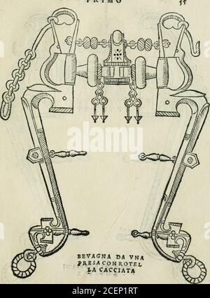 . Trattato dell'imbrigliare, maneggiare, et ferrare cavalli : diviso in tre parti, con alcvni discorsi sopra la natura di caualli, con disegni di briglie, maneggi, & di caualieri a cauallo, & de ferri d'esso. PRIMO. ^ TRATTATO Stock Photo