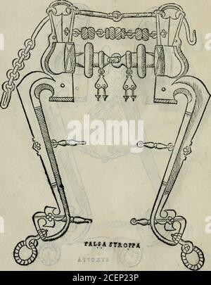 . Trattato dell'imbrigliare, maneggiare, et ferrare cavalli : diviso in tre parti, con alcvni discorsi sopra la natura di caualli, con disegni di briglie, maneggi, & di caualieri a cauallo, & de ferri d'esso. T4 TRATTATO. PRIMO Stock Photo