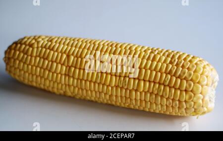 Peeled yellow corn cob on white background. Stock Photo