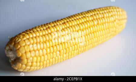 Peeled yellow corn cob on white background. Stock Photo