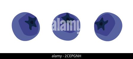 Blueberry. Blueberries set isolated on white background. Bilberry. Vector Stock Vector