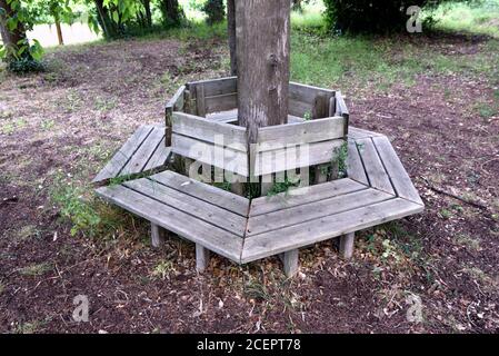 Outdoor Hexagonal Tree Bench or Garden Bench Around Tree in Grounds of Estoublon Château Fontvieille Alpilles Provence France Stock Photo