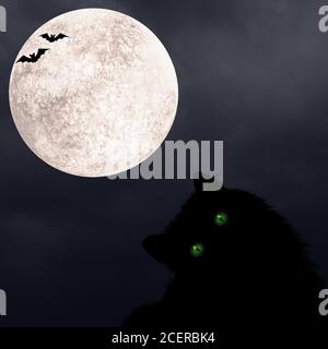 Halloween square background with silhouettes of black cat, bats, full ...