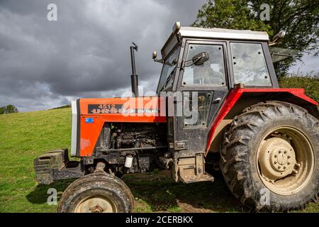 Tractor, Farmer, Riding, Men, Red, Driving, Males, Agricultural Field, Agricultural Machinery, Business Finance and Industry, Casual Clothing, Portrai Stock Photo