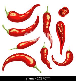 Red hot chili pepper on white background. Isolated vector illustration. Stock Vector