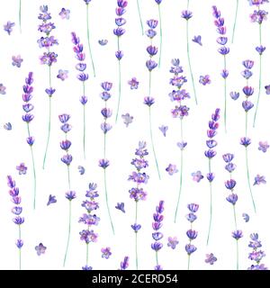 Lavender flowers watercolor seamless pattern on white background. Watercolour hand drawn botanical texture illustration. Print for textile, wallpaper, Stock Photo