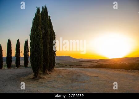 At San Quirico d'Orcia - Italy - On august 2020 - cypress tree row in Tuscan countryside on sunset Stock Photo