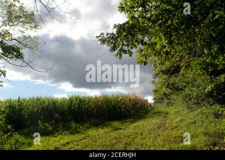 Idyllic rural landscape is overtaken by dark clouds in this beautiful full frame image in natural light with copy space. Stock Photo