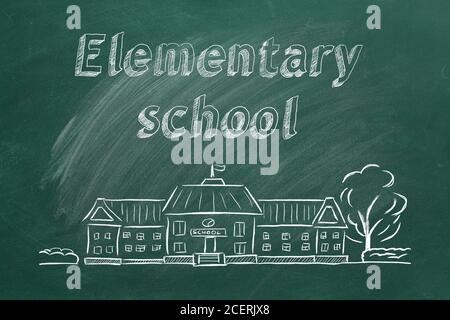 Elementary Exam Class - Youngbutterfly